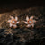 Twinkling Star Floral Stud Earrings