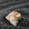 Golden Embrace Heart Ring