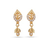 Gold earrings with leaf designs on a white background
